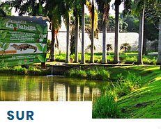 Compraventas Sur Cali